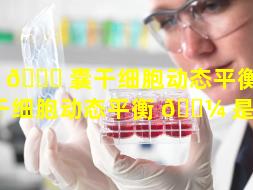 毛 🐒 囊干细胞动态平衡（毛囊干细胞动态平衡 🌼 是什么）